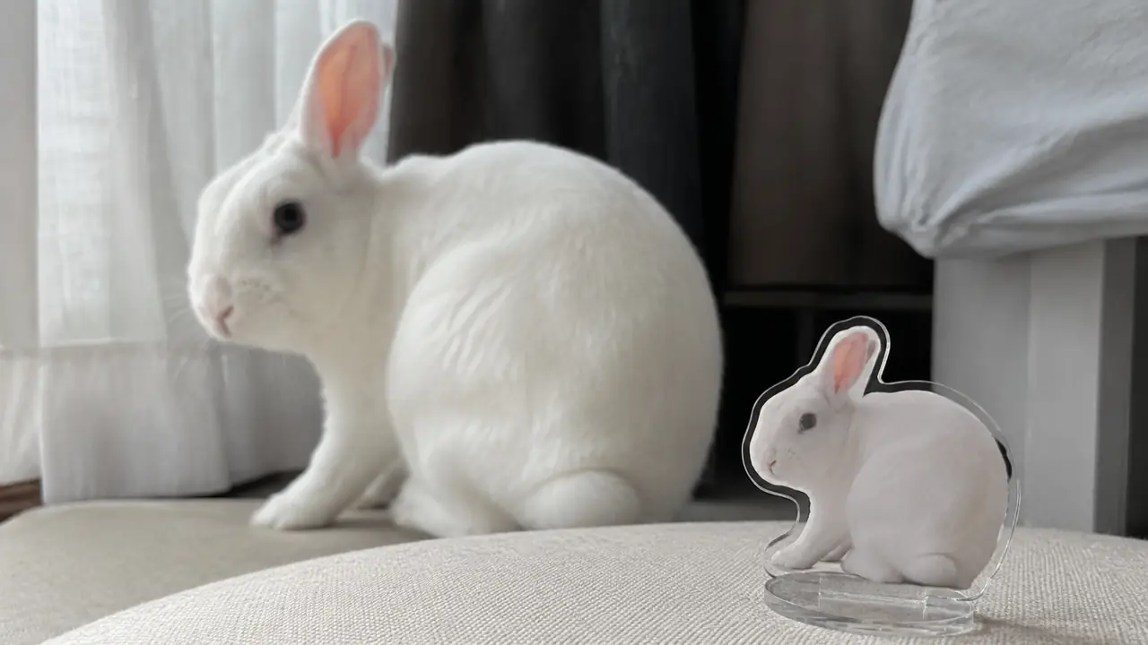 白いうさぎと、その全身写真から作った小型アクリルスタンド