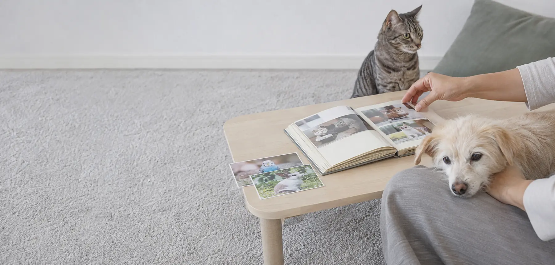 犬と猫のそばでアルバムを見返し、その横にうさぎや小鳥の写真を置いた穏やかな時間